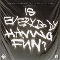Is Everybody Having Fun? (feat. rhys from the sticks)