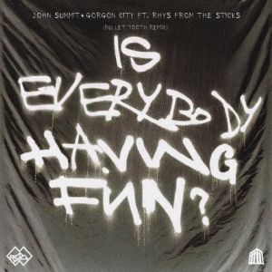 Is Everybody Having Fun? (feat. rhys from the sticks)