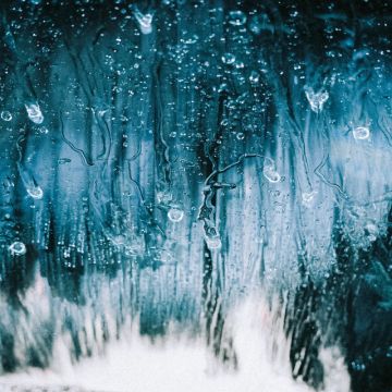 雨に打たれて