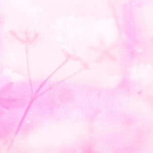ふわ輪