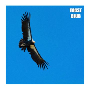 TOAST CLUB