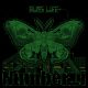 BUGS LIFE