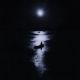 Raft In The Sea