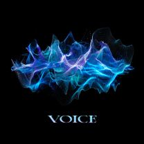 VOICE