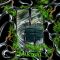 MAKENAI (feat. OZworld)