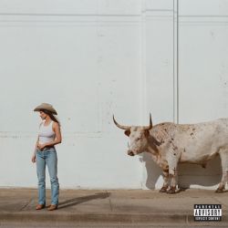 Horses and Divorces