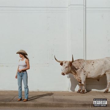 Horses and Divorces