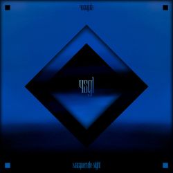 マスカレイドナイト