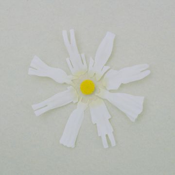 恋だろ