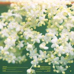 Elderflower