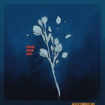 君の泡になる。