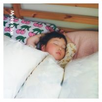 ここで暮らしてるよ