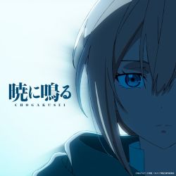 AKATSUKININARU