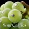 Sour Grapes