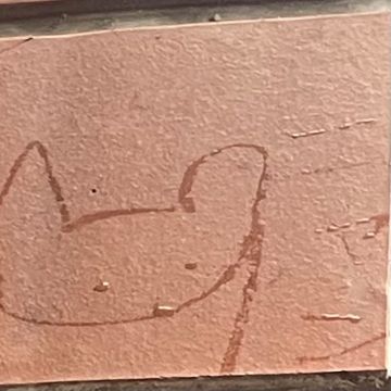 Neko Ni Natte