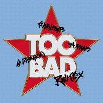 TOO BAD - Alan Walker Remix