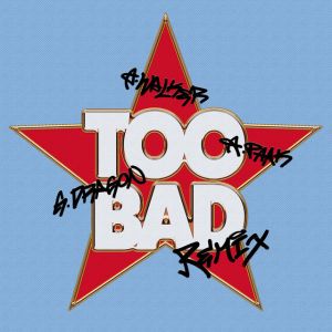 TOO BAD - Alan Walker Remix