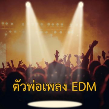 ตัวพ่อเพลง EDM
