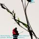 You're Not Alone - Dance Review