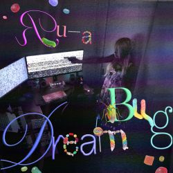 Dream Bug