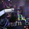 Dream Bug
