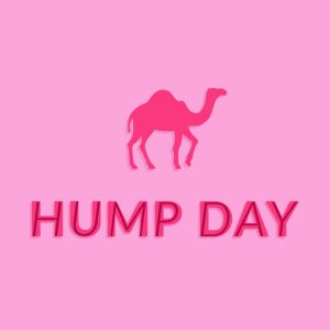 Wednesday Hump Day