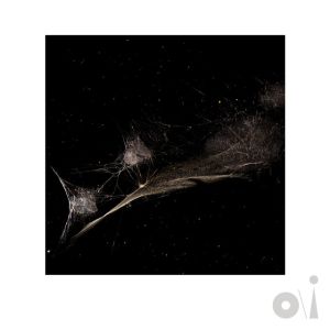 Put the Bucket Down - Dark-Side Mix