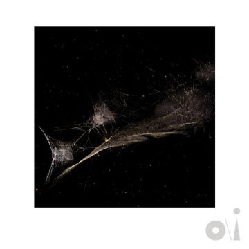 Put the Bucket Down - Dark-Side Mix