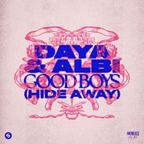 Good Boys (Hide Away)