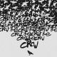 Crow