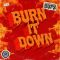 Burn It Down