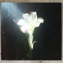 Light That Leads Me (with Bebe Rexha)