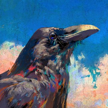烏 - Raven