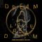 Dream A Little Dream