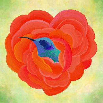 Hummingbird（愛のうた）