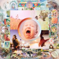 キングスネークの憂鬱