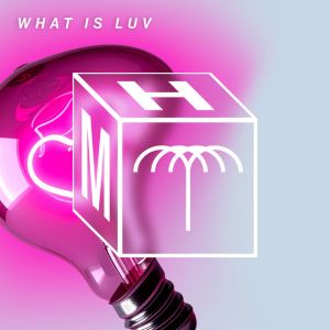 What Is Luv - Extended Mix