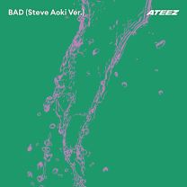 BAD (Steve Aoki Ver.)