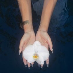 like an orchid / kembali - Baila's Lullaby