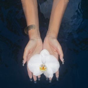 like an orchid / kembali - Baila's Lullaby