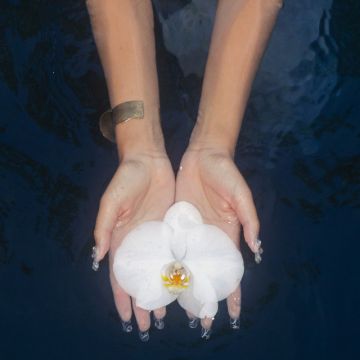 like an orchid / kembali - Baila's Lullaby