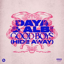 Good Boys (Hide Away)