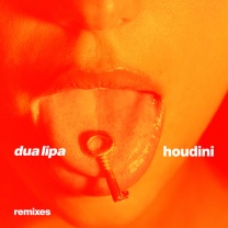 Houdini (Remixes)