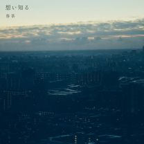 想い知る