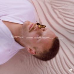 Now The Love Is Gone