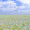 Weather Diary