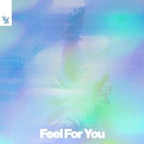 Feel For You