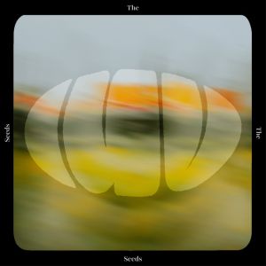 こころのどれす