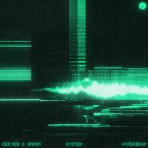 System
