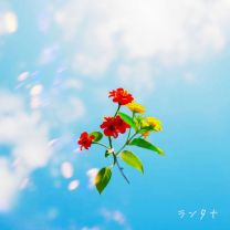 Lantana